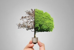 Enerji tasarrufu için hangi sanat etkinliği yapılır? - Kapak Görseli