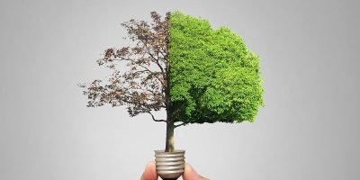 Enerji tasarrufu için hangi sanat etkinliği yapılır? - Kapak Görseli