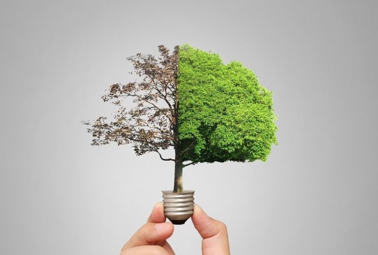 Enerji tasarrufu için hangi sanat etkinliği yapılır? - Kapak Görseli